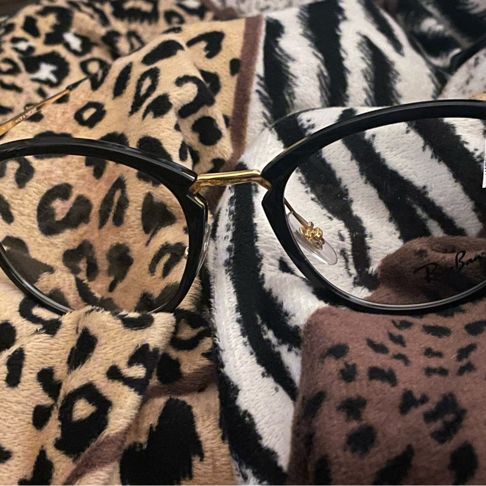 RayBan frames